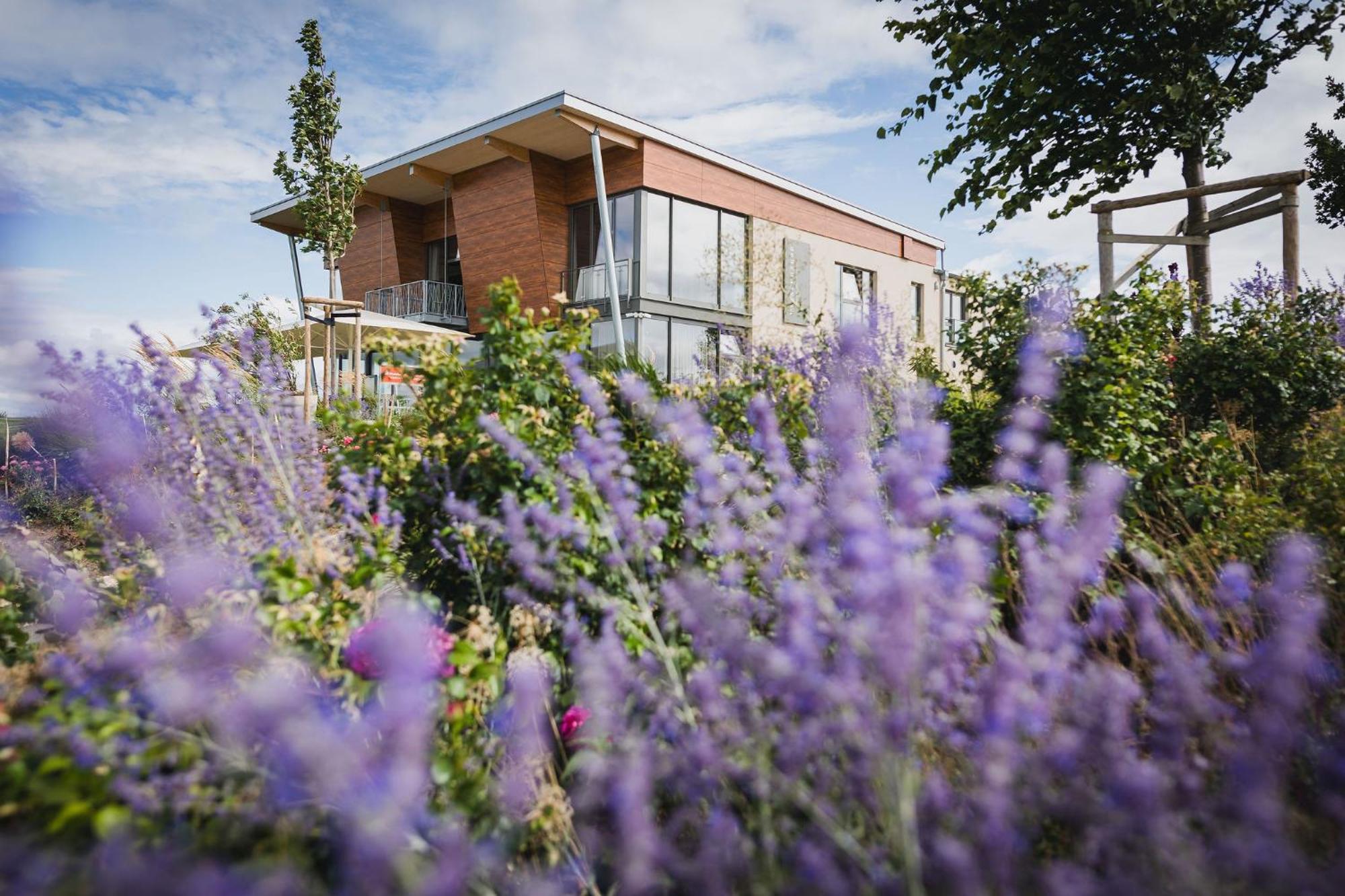 Weinzuhause Hotel-Restaurant-Vinothek Mommenheim Zewnętrze zdjęcie