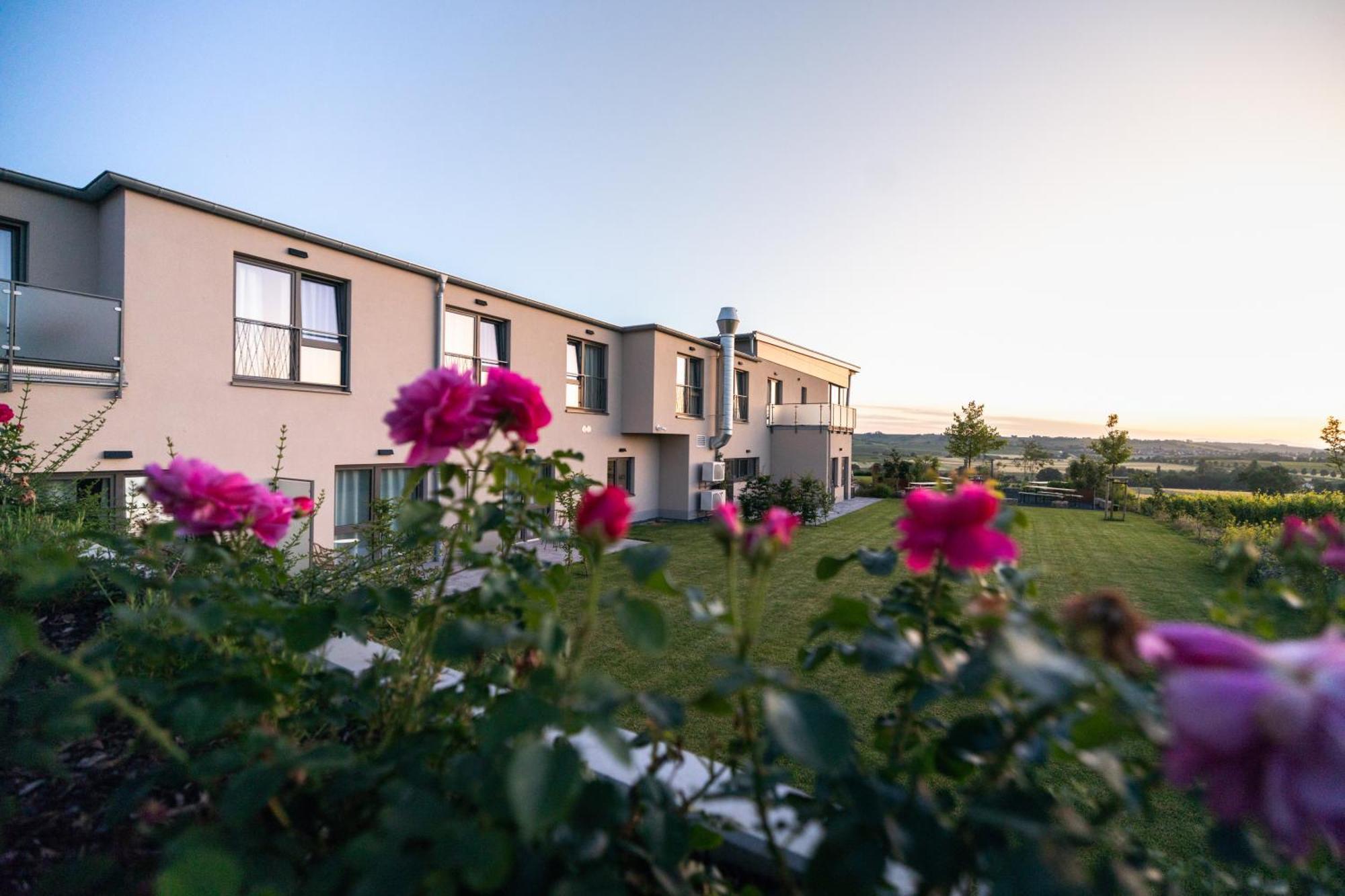 Weinzuhause Hotel-Restaurant-Vinothek Mommenheim Zewnętrze zdjęcie
